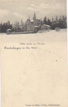 99898 Finsterbergen Villa Erika im Winter * ca. 1900