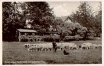 99880 Schnepfenthal Pensioinshaus Klostermühle Herd of sheep o 01/21/1938 Bahnpost