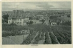 67574 Osthofen o 22.7.1908