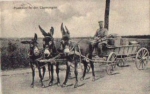 1. WK, Mauleselkutsche Militär Postholer o 25.6.1917Mauleselkutsche Deutscher Postholer 1. WK o 25.6.1917