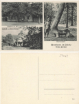 39264 Baerenthoren Dobritz Gasthof Kreis Zerbst *ca.1920