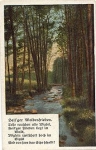 Holy Peace of the Forest * approx. 1920