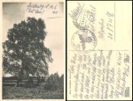4th (MG) - company / infantry replacement battalion 425 field post WWII o Reichenberg 11.6.1941