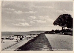Kühlungsborn Promenade mit Blick auf Heiligendamm o 10.5.1952