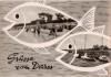 18311 Darss o 6.7.1962