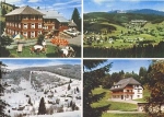 79868 Feldberg 1 Hotel Gruner Baum Gasthaus Hubertus o 2.1.1981