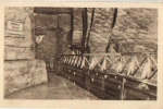 Wieliczka Cave Grotto Poland * ca. 1950