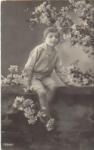 Young fence series card no. 1354/1 used. ca.1910