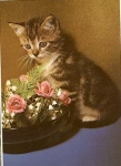 Katze mit Rosen * ca. 1970