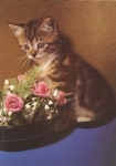 Young cat with rose basket * ca.1970