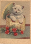 White cat with carnations artist card o December 3, 1960