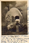 chick in front of egg house April 12, 1941