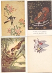Birds Sparrow Tit 4 artist cards * approx. 1970