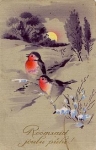 Robin artist card o 26.12.1928