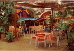 29664 Walsrode bird park tropical cafe in paradise hall * about 1960