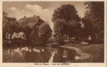 18556 Wiek Dorfteich o 31.5.1928