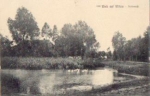 18556 Wiek Dorfansicht *ca. 1930