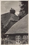 18586 Monchgut stork's nest o July 27, 1930