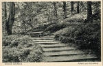Ahlbeck ascent to Zierowberg *ca. 1920