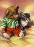 Teddy bear and cat * around 1970
