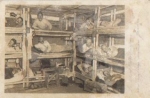 Shelter 1. WW. real photo br. circa 1915
