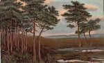 27726 Worpswede artist card S. Wencke landscape o 3.11.1908