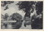 Celle an der Aller, * ca. 1940