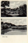 21514 Buechen o 9.11.1955