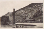 55410 Bingen Mauseturm und Ruine Ehrenfels * ca. 1910
