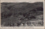 61462 Falkenstein Taunus mit Gr. Feldberg gebr. ca. 1930