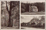 63739 Rohrbrunn 1000 year old oak * approx. 1950