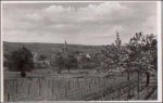 67169 Kallstadt * ca. 1950