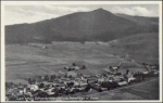 93462 Lam * ca. 1930