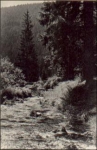 96523 Steinach Im Goeritzgrund * ca. 1960