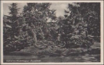 Komotau flower clock * approx. 1940