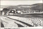 01776 Seyde Winter o 15.3.1971