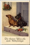 Dackel und Schnauzer Hund gebr. 26.4.1937