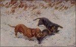 Dachshund fox artist card Weczerzick * approx. 1920