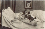 Dachshund 33242/4, o 11.12.1913