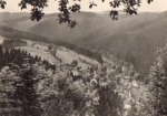 98746 Meuselbach-Schwarzmuehle * ca. 1970