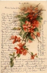 Flowers, artist card C. Klein o October 3, 1902