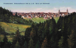 72250 Freudenstadt Schwarzwald vom Schöneck * um 1930