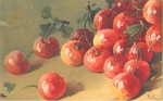 Cherries artist card Catharina Klein * approx. 1910
