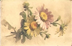 Flowers artist card Catharina Klein * approx. 1920