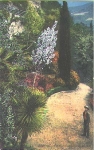 Merano Meran Südtirol Vegetationsbild  * ca. 1920