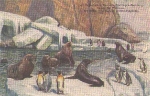 Hamburg Carl Hagenbecks Tierpark Basin for walruses Zoo * ca. 1920