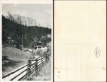Aflenz, Alpengasthaus Schwabenbartl * ca. 1930