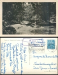 Aga via Gera country postmark on AK Triebtal o 20.6.1958