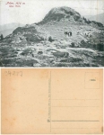 94227 Zwiesel Arber Bayricher Wald *ca. 1920