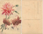 Aster mit Orchidee handgemahlte Karte * ca. 1930